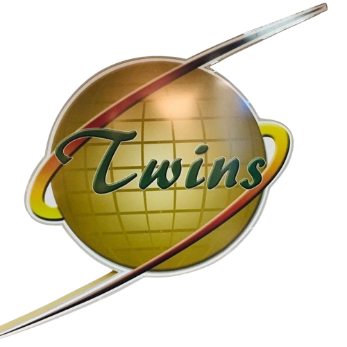 TWINS HK global sourcing and export company logo